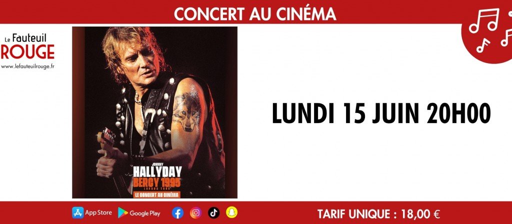 actualité Concert Johnny Hallyday